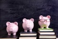 Three piggy banks with blackboard, college graduation or savings fund concept