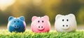 Three piggy banks placed place on the grass. Saving for future investment, retirement concept. planning savings money of coins to Royalty Free Stock Photo