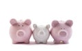 Three piggy banks on white background