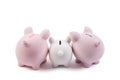 Three piggy banks on white background