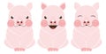 Three pigs with different emotions Royalty Free Stock Photo