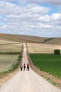 Three pilgrims walking on the Santiago Way, in Spain. Wearing mountain clothes, backpacks, with the typical Santiago shells 