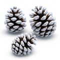 Three Pine Cones Covered with Snow on White Background Decoration Royalty Free Stock Photo