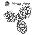 Three pine cones gray, pattern-silhouette on white background,