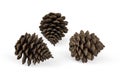 Three pine cones isolated on a white background - 3D Royalty Free Stock Photo