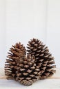 Collection of three pine cones on a wooden bench