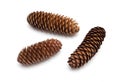 Three pine cones