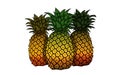 Three Pineapple illustration