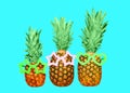 Three pineapple and sunglasses on blue background, ananas Royalty Free Stock Photo