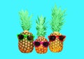 Three pineapple with sunglasses on blue background, ananas Royalty Free Stock Photo