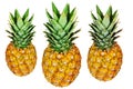 Three pineapples isolated on white