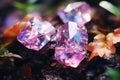 three pink diamonds sitting on top of some leaves