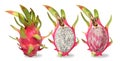 Three pink dragon fruit isolated on white background. Royalty Free Stock Photo