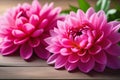 Three Pink Flowers on Wooden Table