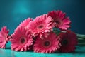 Three pink gerbera daisies on blue background with copy space. Royalty Free Stock Photo