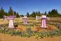 Three pink miniature wooden display windmills surrounded by a circle of bright spring flowers.