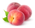 Three pink peaches isolated on white Royalty Free Stock Photo