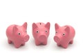 Three little piggy bank on white background Royalty Free Stock Photo