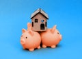 Three pink piggy banks with the house on their back isolated against white background Royalty Free Stock Photo