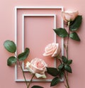 Three Pink Roses in a White Frame on a Pink Background Royalty Free Stock Photo