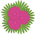 Three pink stockroses on green leaves flower composition vector illustration Royalty Free Stock Photo
