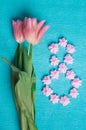 Three pink tulips and pink meringues