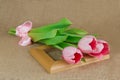 Three pink tulips with satin ribbon lying on the frame Royalty Free Stock Photo