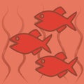 Three piranhas Royalty Free Stock Photo