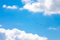 Three planes flying in the blue sky, surrounded by clouds and sunlight Royalty Free Stock Photo