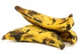 Three plantain (baking) bananas Royalty Free Stock Photo