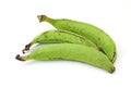 Three Plantain Bananas