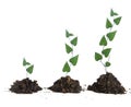 plants growing in soil Royalty Free Stock Photo