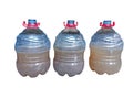 Three plastic gallons containing probiotic fermentation liquid for animal feed. white background Royalty Free Stock Photo