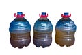 Three plastic gallons containing probiotic fermentation liquid for animal feed. white background Royalty Free Stock Photo