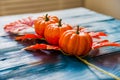 Three plastic pumpkins and red leaves fall concept