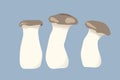 Three Pleurotus eryngii mushrooms
