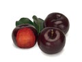 Three plums with leaves on white background Royalty Free Stock Photo