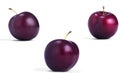 three plums on a white background isolated Royalty Free Stock Photo