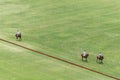 Polo players on their horses play in a field on the outskirts of Lima, Peru