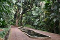 Three Pools at Allerton Garden - National Tropical Botanical Garden in Koloa on Kauai Island in Hawaii