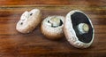 Three portobello mushrooms an isolated on wood background Royalty Free Stock Photo