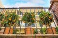 Three pots with orange trees outdoors