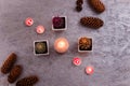 Three potted cactus plants with purple and orange thorns. Succulents and burning candles standing on silver background