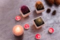 Three potted cactus plants with purple and orange thorns. Succulents and burning candles standing on silver background.