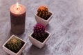 Three potted cactus plants with purple and orange thorns. Succulents and burning candles standing on silver background.