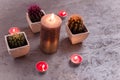 Three potted cactus plants with purple and orange thorns. Succulents and burning candles standing on silver background. Warm aura,