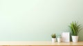 Three Potted Plants on a Table in Front of a Mint Green Wall. Copy space