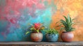 Three Potted Plants on Shelf Against Colorful Wall Royalty Free Stock Photo