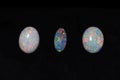 Three precious Queensland opals for quality jewelry