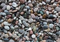 Three Pronged Forks Scattered On Smooth Sea Pebbles